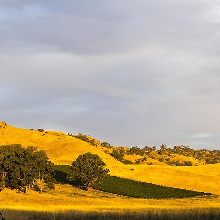 Dairyman'S Cottage Lyndoch Dış mekan fotoğraf