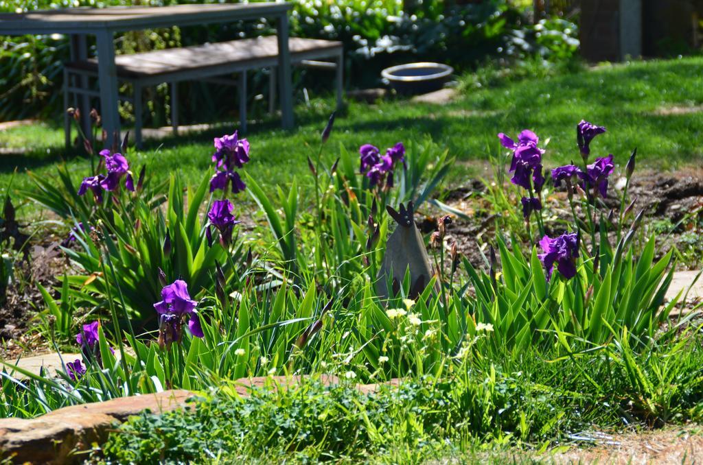 Dairyman'S Cottage Lyndoch Dış mekan fotoğraf