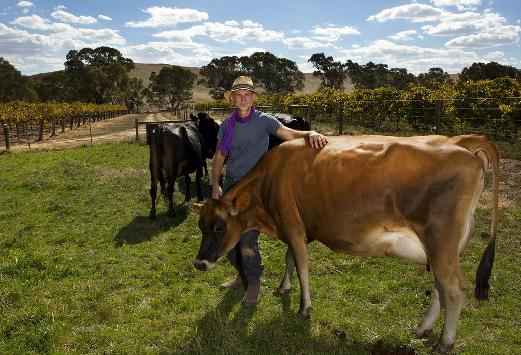 Dairyman'S Cottage Lyndoch Oda fotoğraf