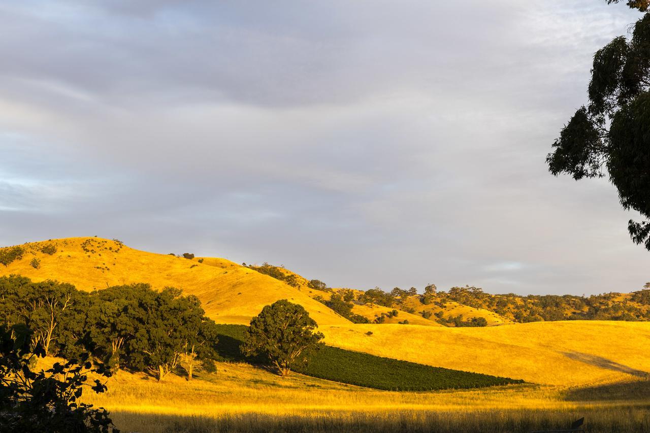 Dairyman'S Cottage Lyndoch Dış mekan fotoğraf